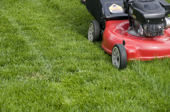 Essential Equipment & Machinery for Lawn Maintenance 